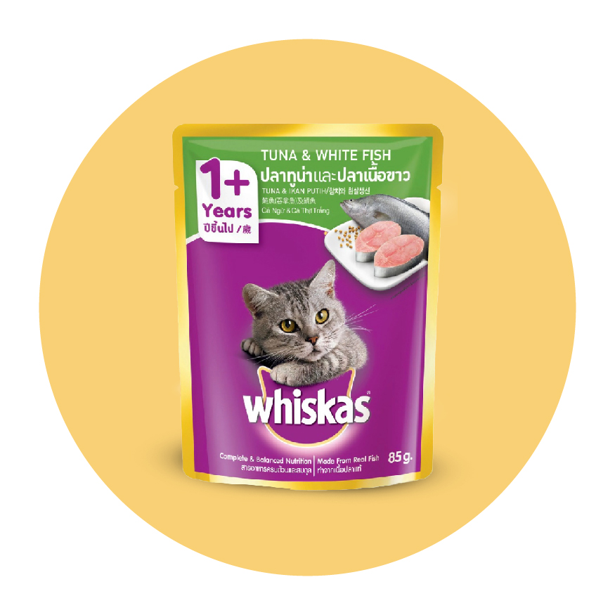 Pet Food & Pet Care